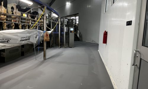 Commercial Flooring Project