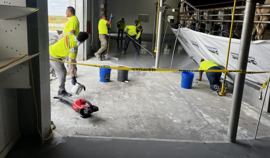 Commercial Flooring Project production photo Preview Image 7