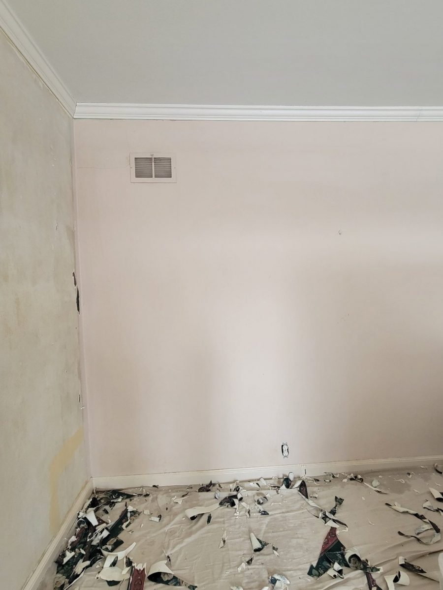 Wallpaper Removal Case Study During Photo Preview Image 6