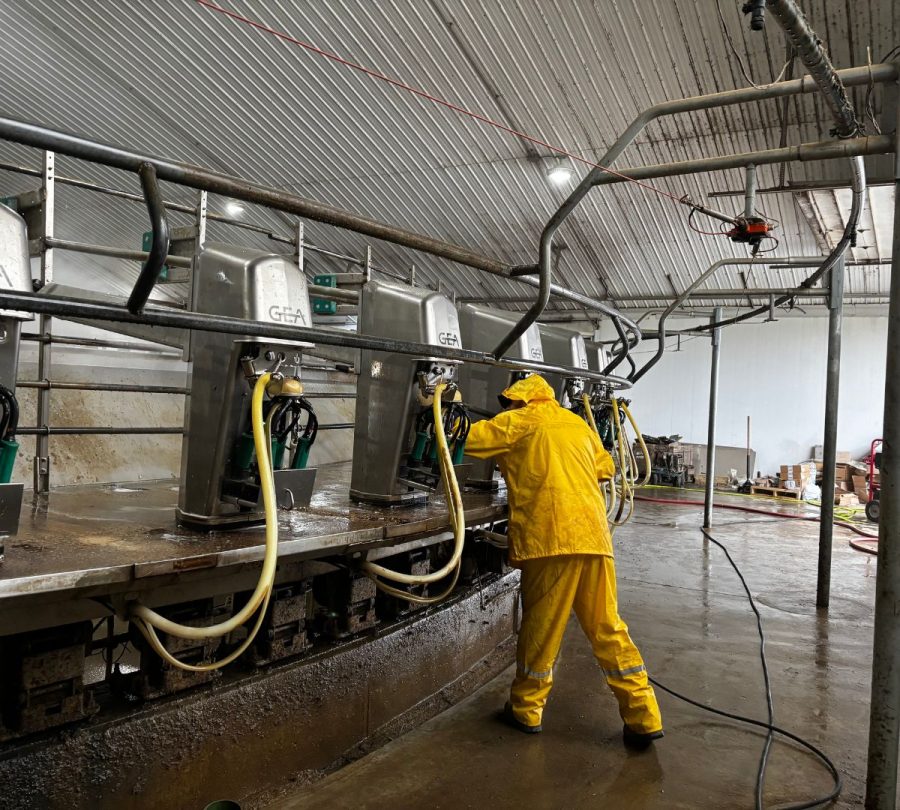 Gill Dairy Case Study during Photo preparing surfaces Preview Image 13