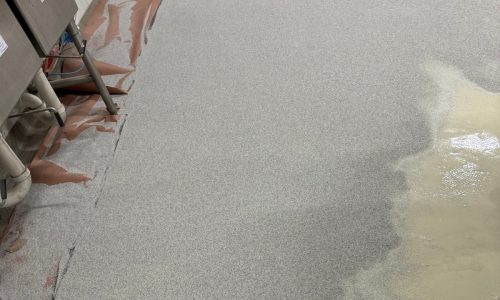 Pilot Project Brewing During Photo