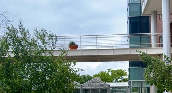 BELOIT COLLEGE FOOTBRIDGE RESTORATION