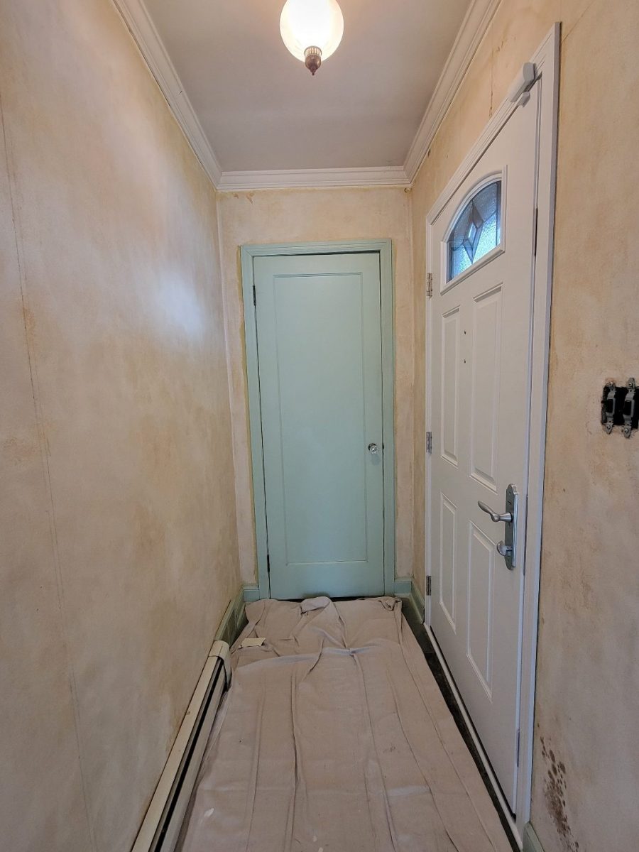 Wallpaper Removal Case Study During Photo Preview Image 5