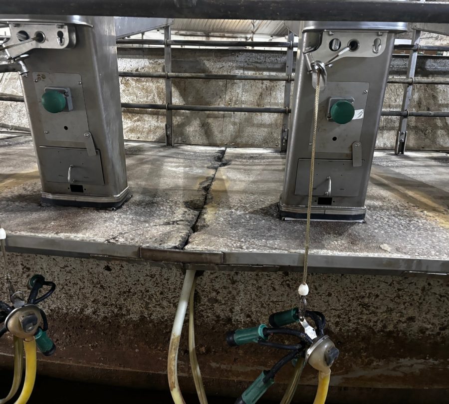 Gill Dairy Case Study floor prepared to be resealed Preview Image 1