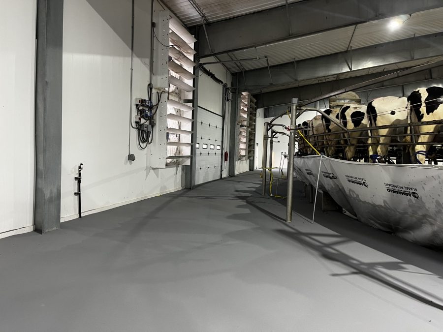 Commercial Flooring Project after photo Preview Image 2