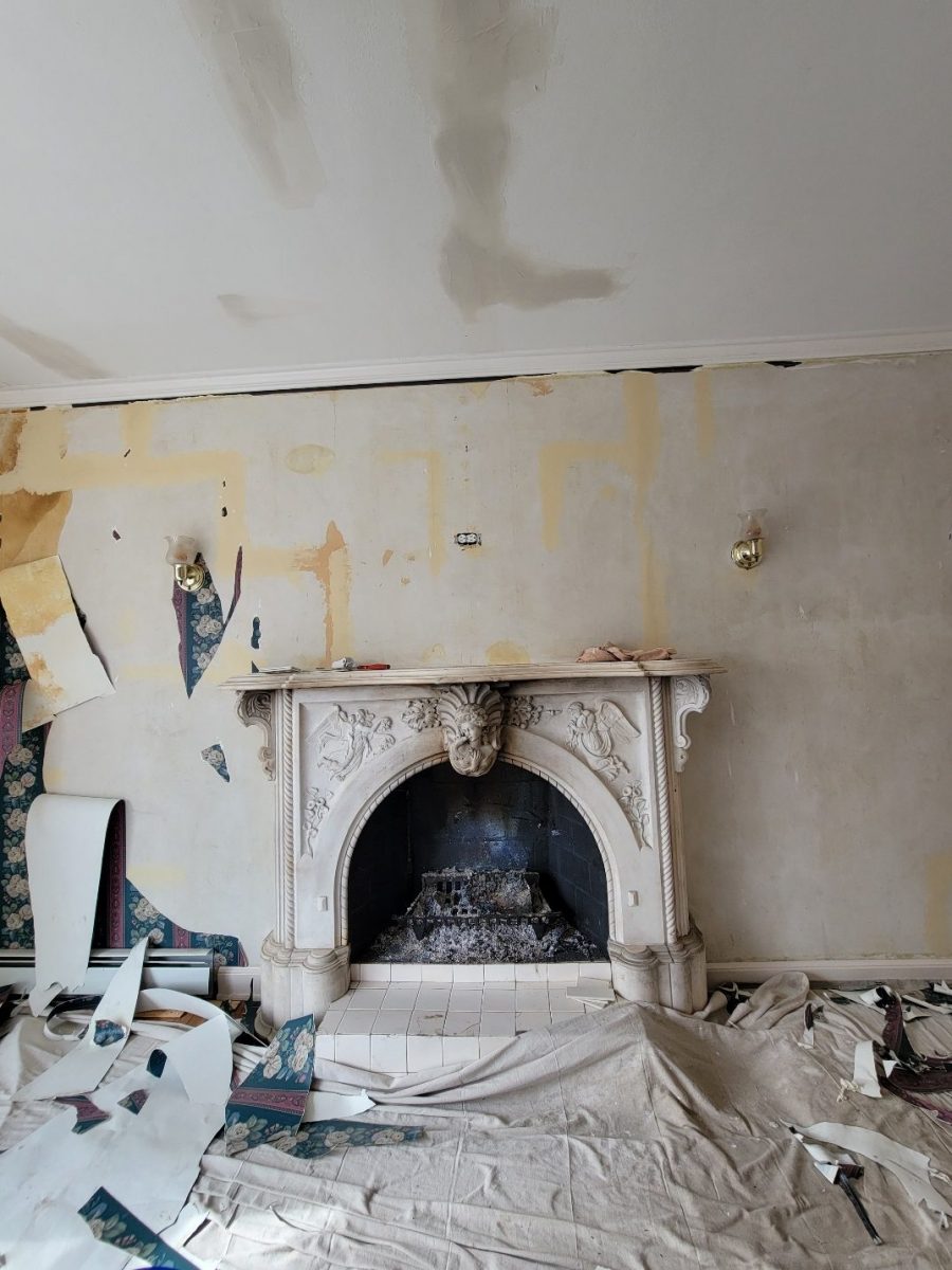 Wallpaper Removal Case Study During Photo Preview Image 7