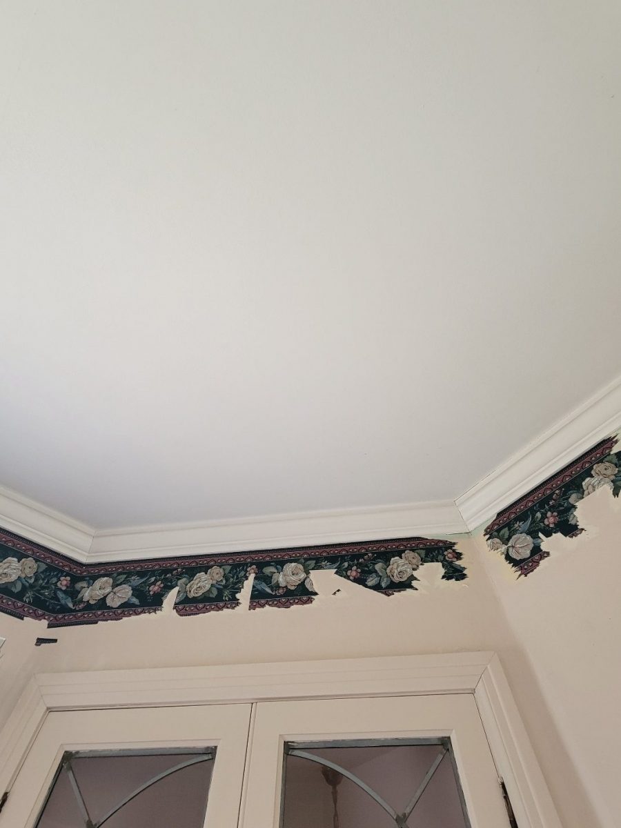 Wallpaper Removal Case Study During Photo Preview Image 14