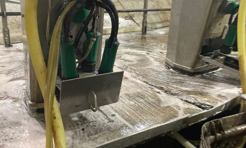 Gill Dairy Case Study During Photo