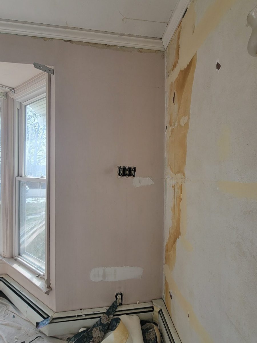 Wallpaper Removal Case Study During Photo Preview Image 4