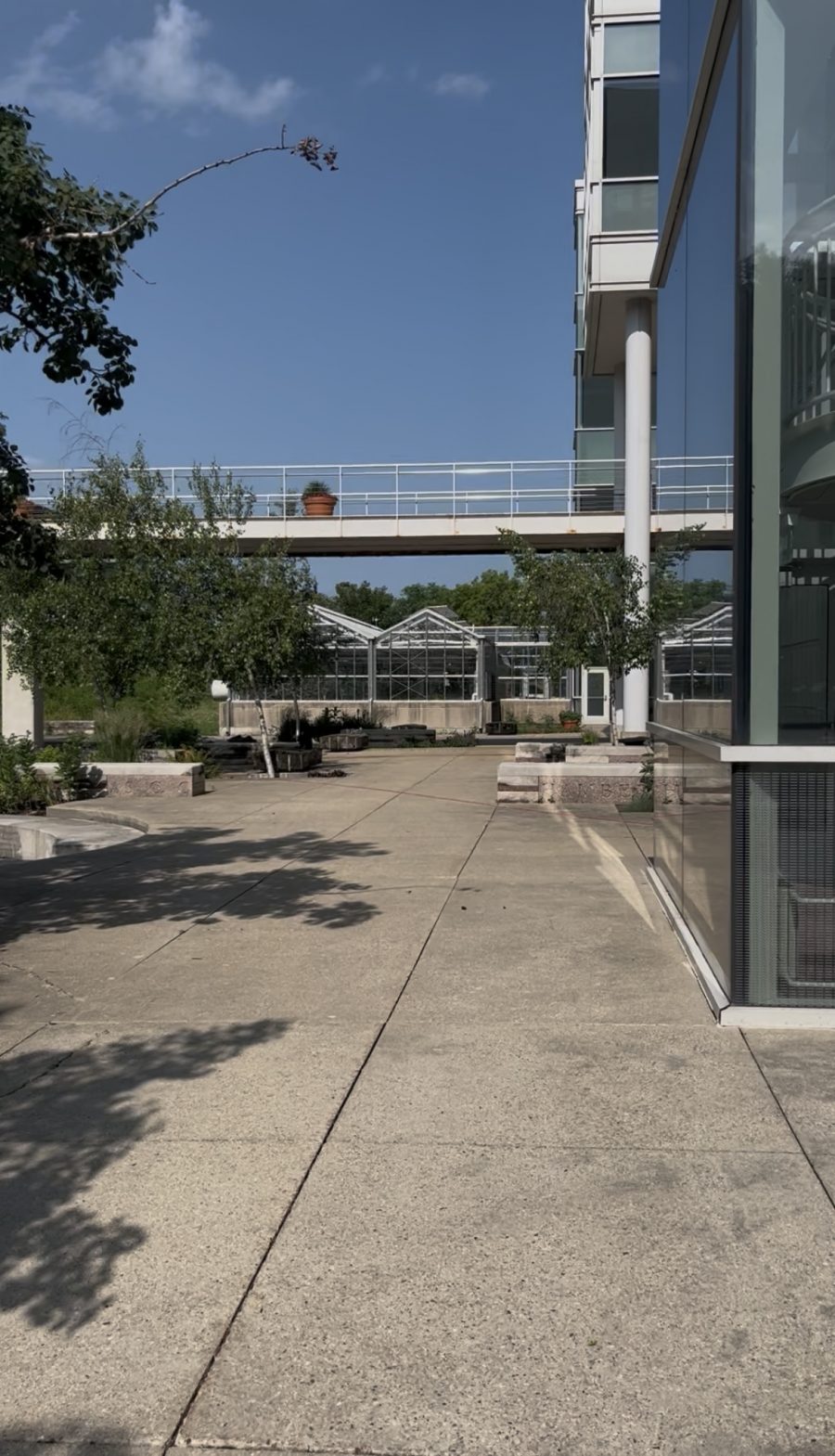potted plant on a pedestrian bridge connecting two buildings Preview Image 1