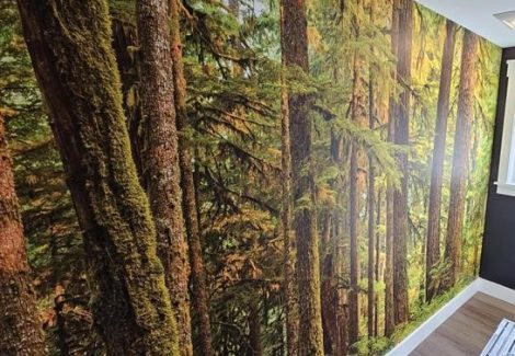 walls after wallpaper installation