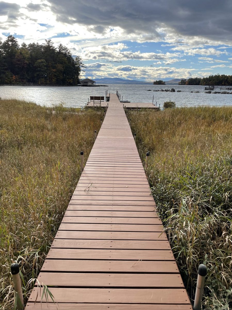 dock after power washing and staining Preview Image 2