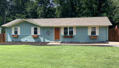 Blue brick house painting