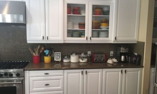 Cabinet Doors & Windows