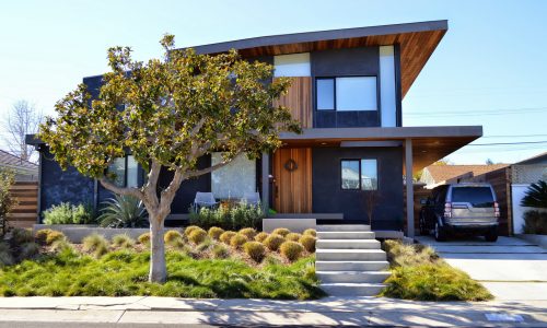 Modernist Style Home