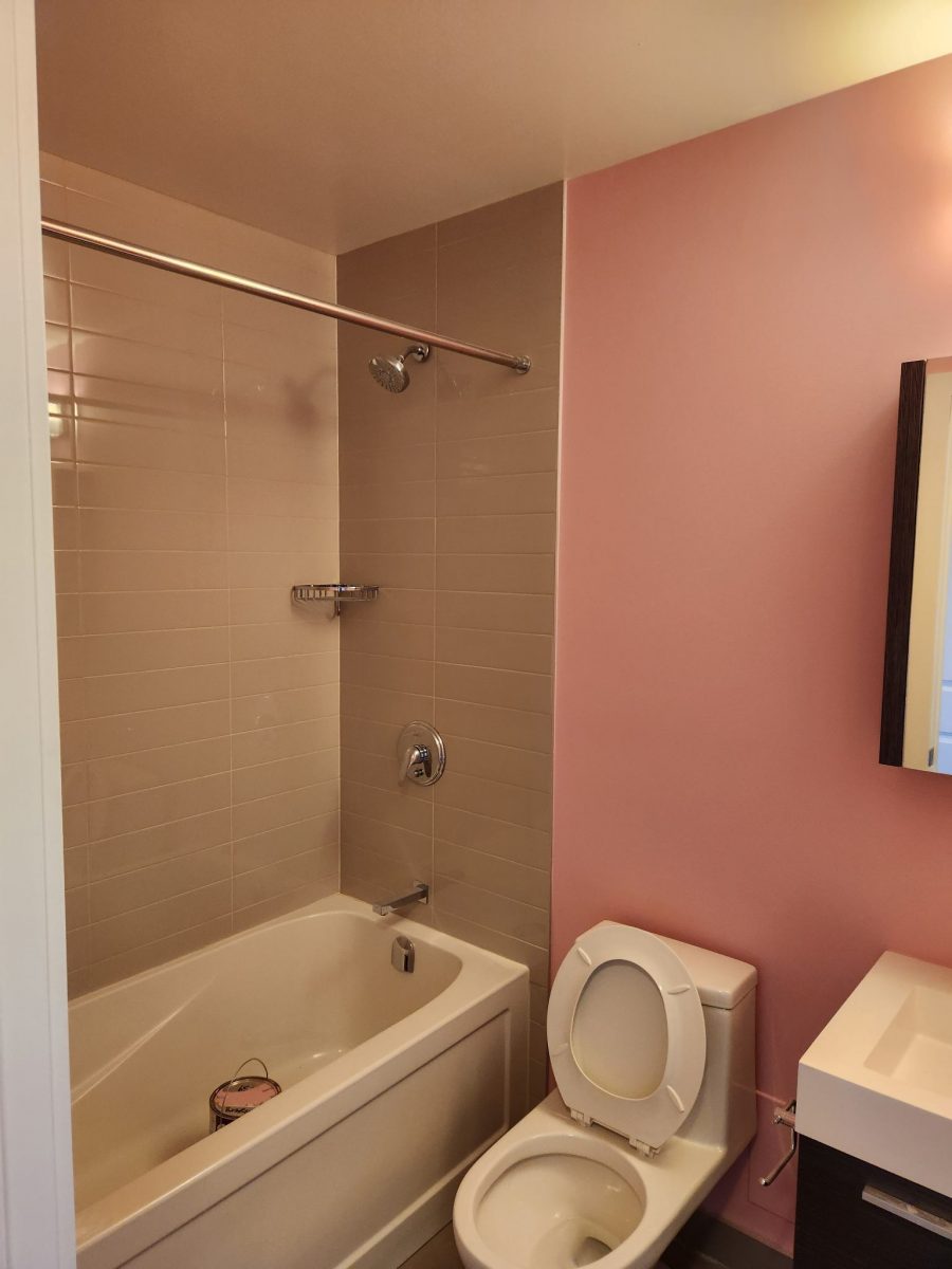 markham on apt bathroom painted pink Preview Image 5