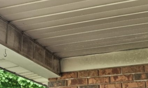 sign you need painting visible mold growth