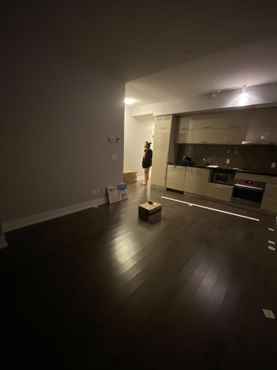 markham on apt living room pre-painted Preview Image 10