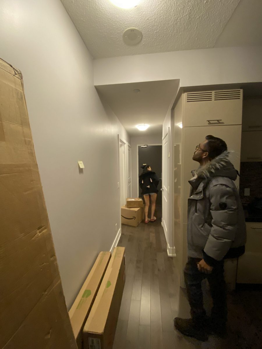 Nelan observing apt living room for painting Preview Image 4