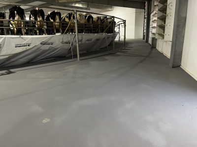 McCarty Farms Commercial Flooring Project the large section after application