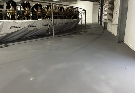 Commercial Flooring Project