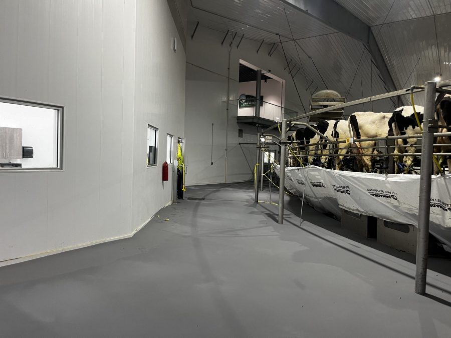 McCarty Farms Commercial Flooring Project after photo of flooring under cows Preview Image 2