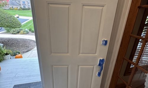 Primed for New Color