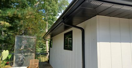 Black and White Exterior Painting