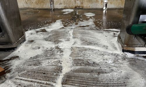 Gill Dairy Case Study During Photo