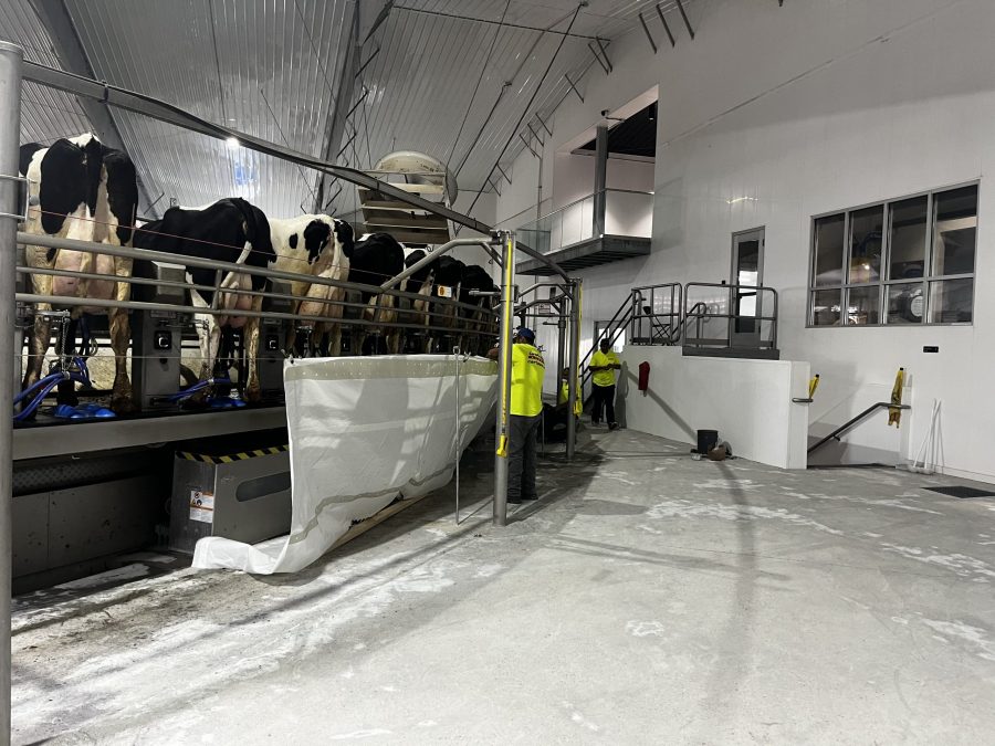 McCarty Farms Commercial Flooring Project floor is cleaned and almost ready for application before photo of flooring being prepared Preview Image 18