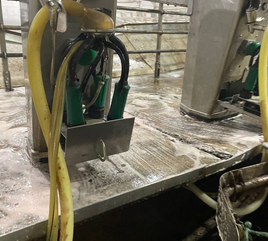 Gill Dairy Case Study Before Photo cleaning floors Preview Image 18