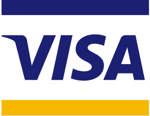 visa icon