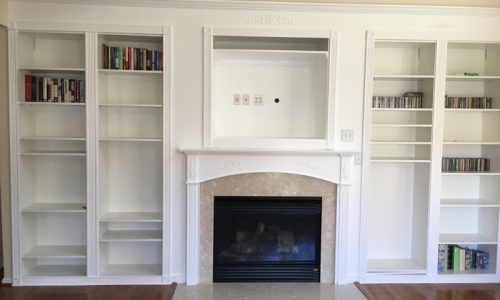 Interior Bookshelf Painting