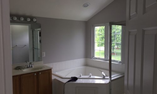 Gray Bathroom
