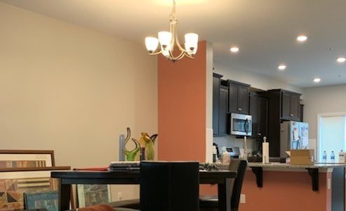 Interior Dining Room Painting