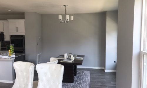 Dining Room Painting