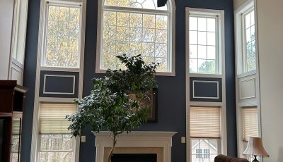 Blue Accent Wall