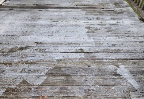 before deck straining picture