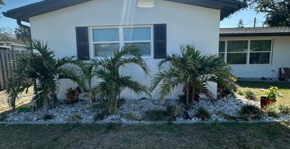 Modern Color Scheme in Melbourne