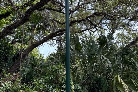 Original Green on Light Fixtures
