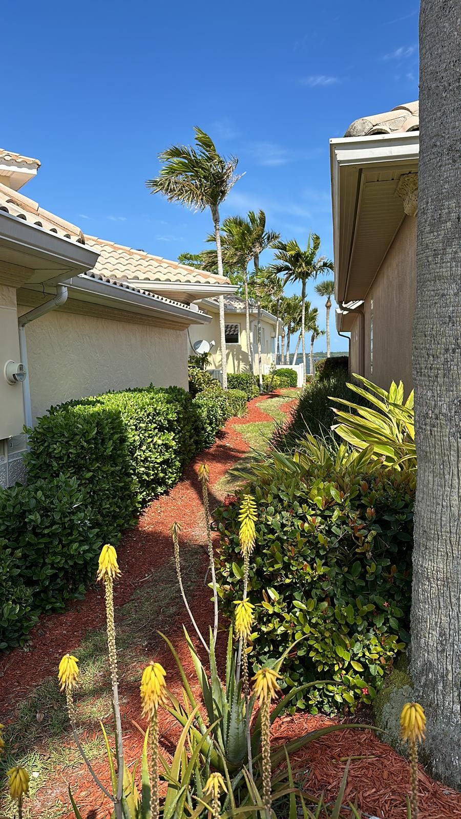 viera exterior Preview Image 10