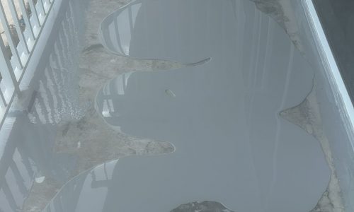 Radisson - In Progress