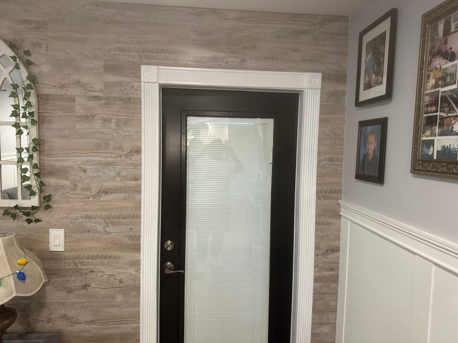 door painting Preview Image 2