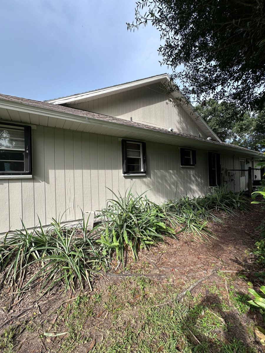 vero beach after Preview Image 5