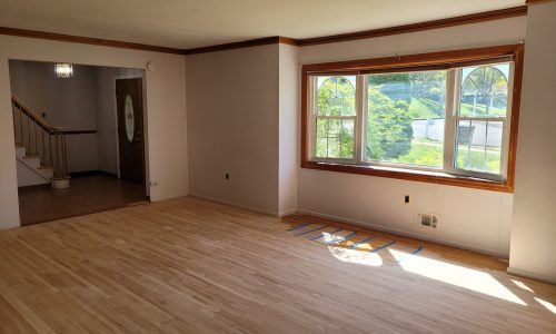 Living Room (Before)