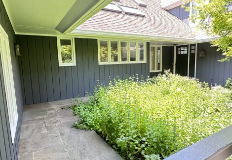 Exterior Residential Transformation