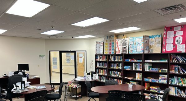 painted nursing college library