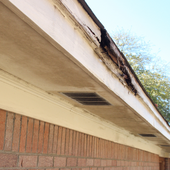 Wood Rot Repair Services