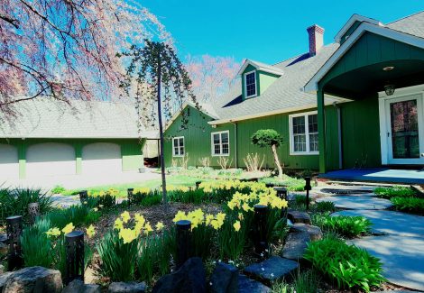 dark green painted house