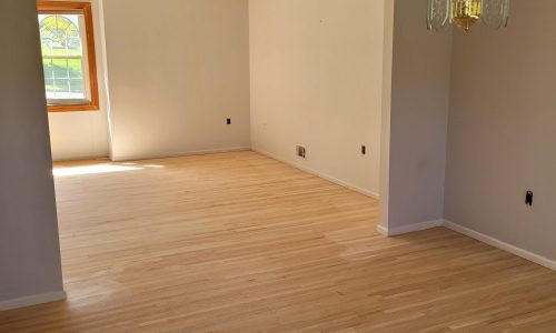 Living Room to Dining Room (Before)